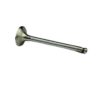 EXHAUST VALVE