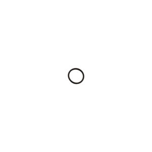 O-RING, INJECTOR - TD5