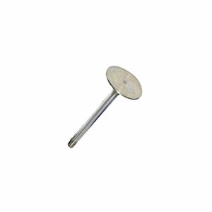 VALVE, INLET - 2.25L 4CYL PET LATE SERIES 3