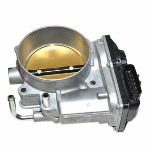 THROTTLE BODY AND MOTOR