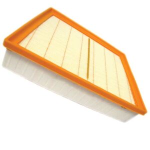 AIR FILTER - EVQ/DSPT/EPACE